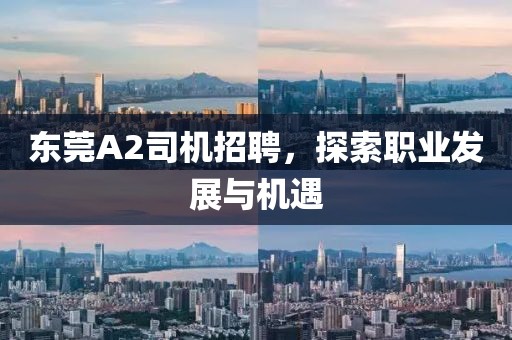 東莞A2司機招聘，探索職業(yè)發(fā)展與機遇