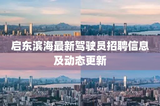 啟東濱海最新駕駛員招聘信息及動態(tài)更新