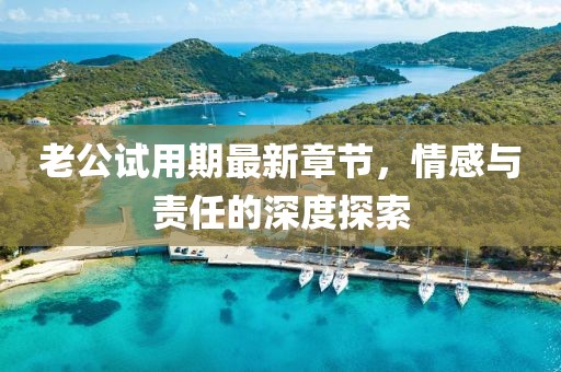 老公試用期最新章節(jié)，情感與責(zé)任的深度探索