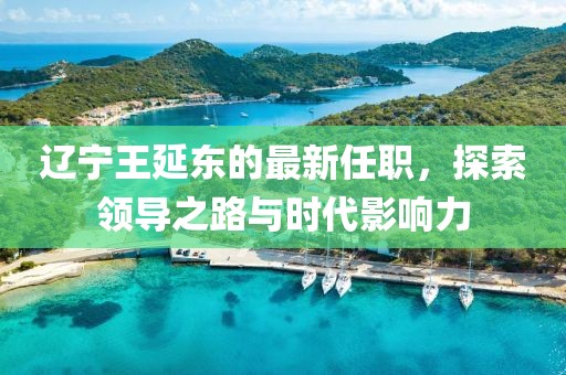 遼寧王延東的最新任職，探索領導之路與時代影響力