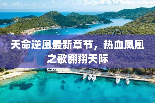 肆戰(zhàn)作王 第20頁