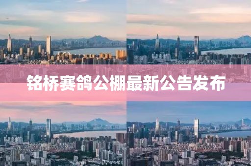 甜心少女 第20頁