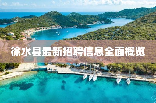 徐水縣最新招聘信息全面概覽