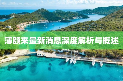薄頤來最新消息深度解析與概述