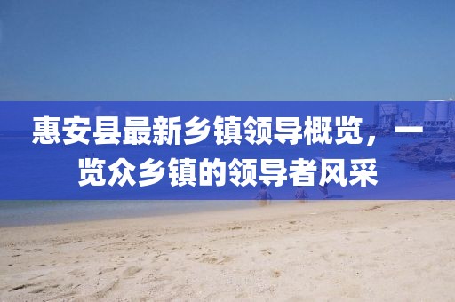 惠安縣最新鄉(xiāng)鎮(zhèn)領(lǐng)導(dǎo)概覽，一覽眾鄉(xiāng)鎮(zhèn)的領(lǐng)導(dǎo)者風(fēng)采