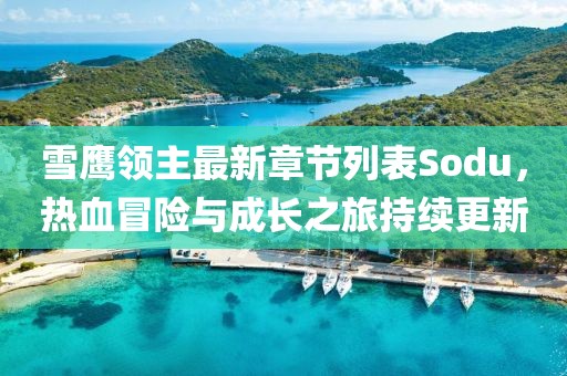 雪鷹領(lǐng)主最新章節(jié)列表Sodu，熱血冒險與成長之旅持續(xù)更新