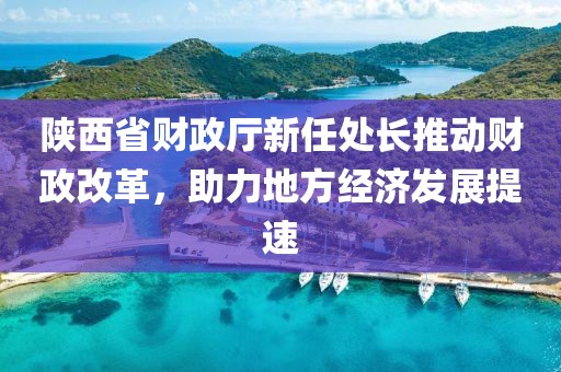陜西省財(cái)政廳新任處長(zhǎng)推動(dòng)財(cái)政改革，助力地方經(jīng)濟(jì)發(fā)展提速
