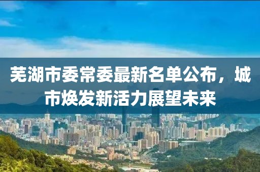 蕪湖市委常委最新名單公布，城市煥發(fā)新活力展望未來(lái)