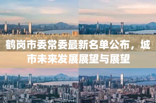 鶴崗市委常委最新名單公布，城市未來發(fā)展展望與展望