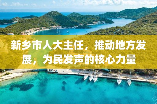 新鄉(xiāng)市人大主任，推動地方發(fā)展，為民發(fā)聲的核心力量