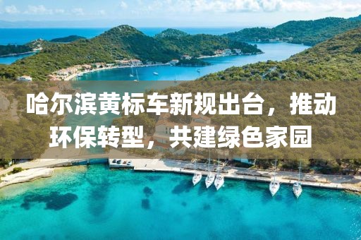 哈爾濱黃標車新規(guī)出臺，推動環(huán)保轉型，共建綠色家園