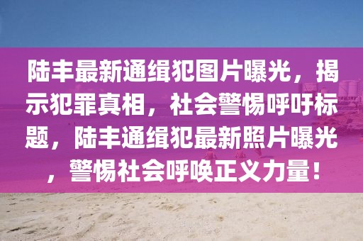 陸豐最新通緝犯圖片曝光，揭示犯罪真相，社會警惕呼吁標題，陸豐通緝犯最新照片曝光，警惕社會呼喚正義力量！