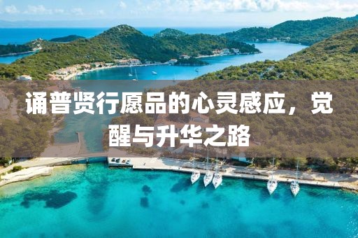 蝶翼天使 第20頁(yè)