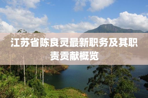 江蘇省陳良靈最新職務(wù)及其職責(zé)貢獻(xiàn)概覽