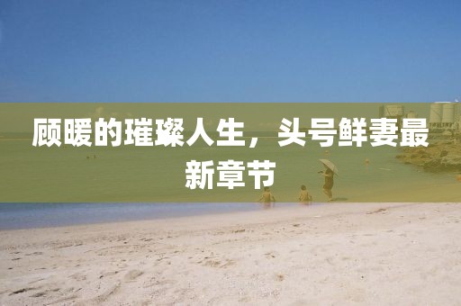 顧暖的璀璨人生，頭號鮮妻最新章節(jié)