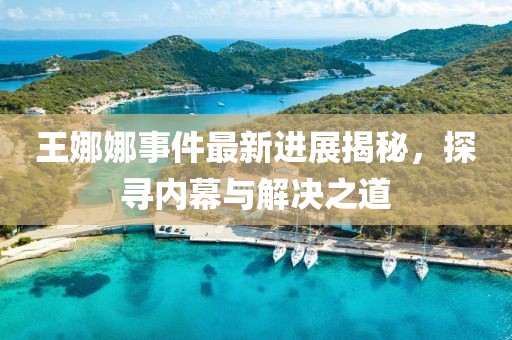 王娜娜事件最新進(jìn)展揭秘，探尋內(nèi)幕與解決之道