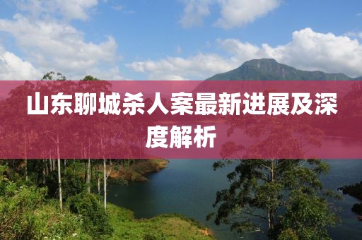 山東聊城殺人案最新進展及深度解析