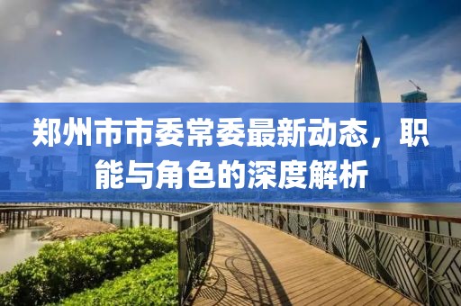 鄭州市市委常委最新動態(tài)，職能與角色的深度解析