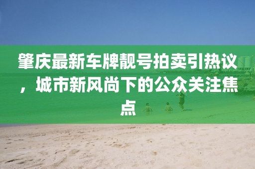肇慶最新車牌靚號(hào)拍賣引熱議，城市新風(fēng)尚下的公眾關(guān)注焦點(diǎn)