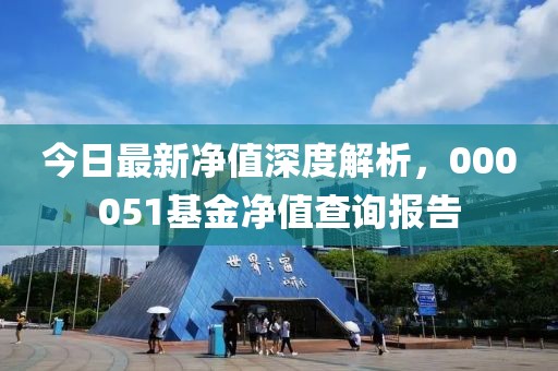 今日最新凈值深度解析，000051基金凈值查詢報(bào)告