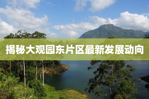 揭秘大觀園東片區(qū)最新發(fā)展動向