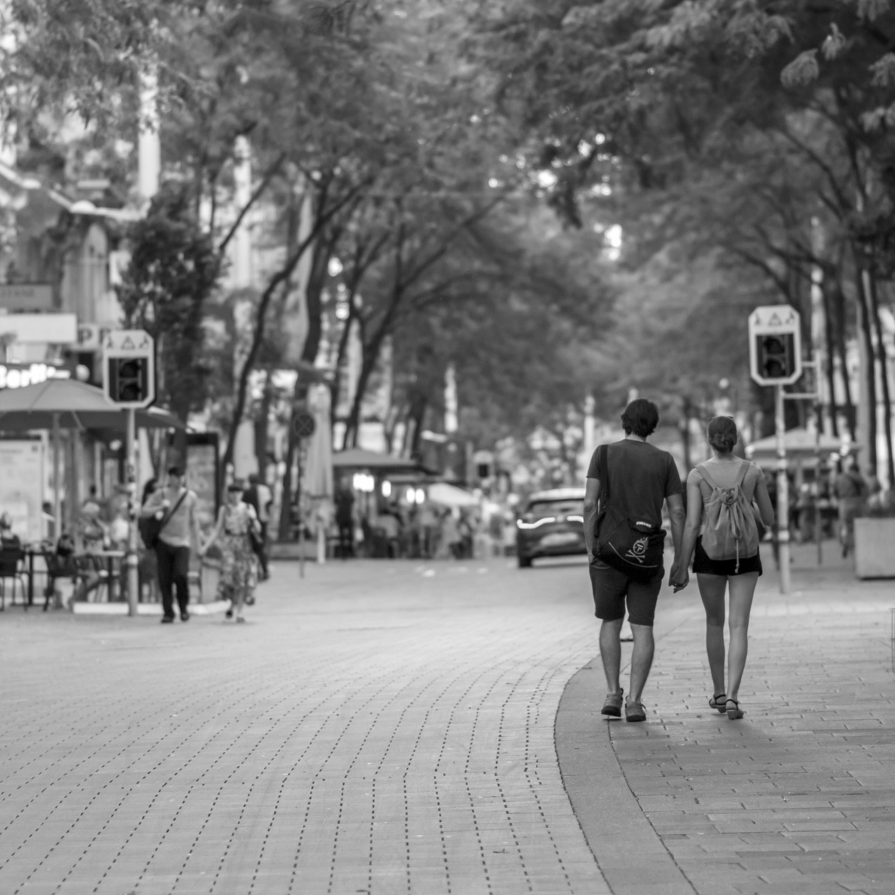 蘄春縣人事任免動態(tài)更新，最新人事任免消息