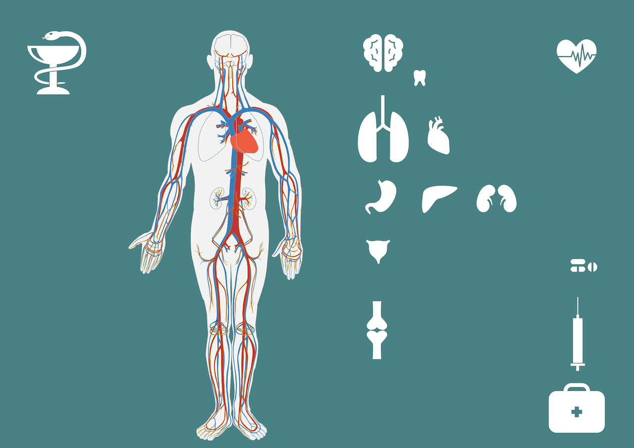 急診搶救流程圖優(yōu)化，提升搶救成功率與急救服務(wù)質(zhì)量