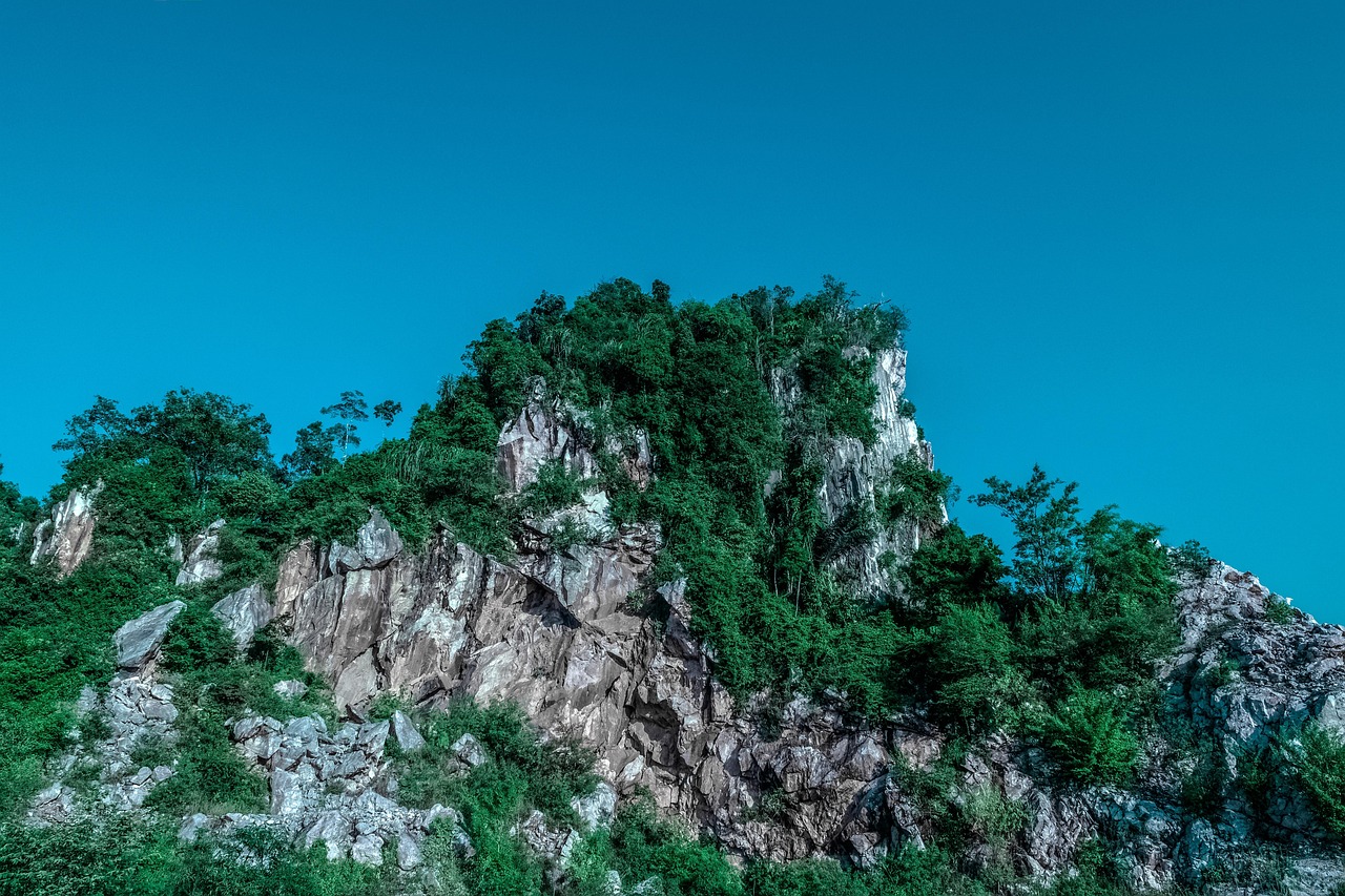 傳藝科技股票最新消息綜述，掌握最新動態(tài)，洞悉股市走向