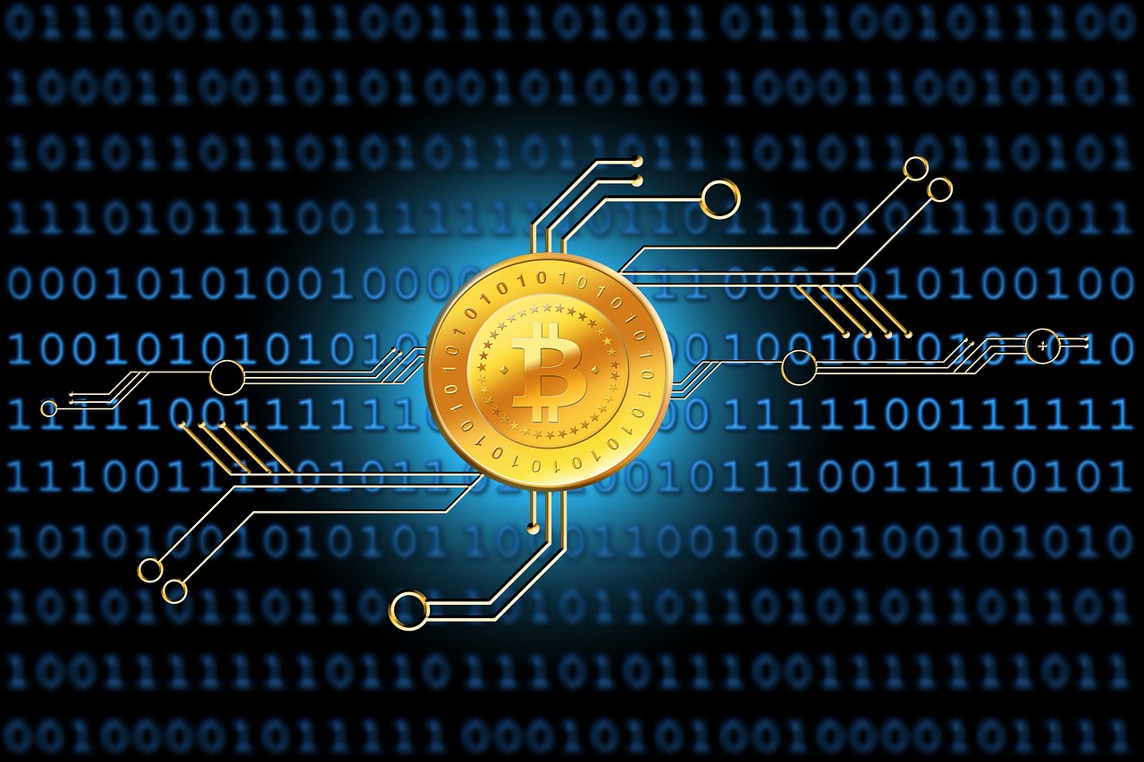 最新傳染病分類及種類概述，全面解析傳染病的世界